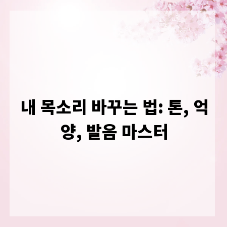 내 목소리 바꾸는 법: 톤, 억양, 발음 마스터