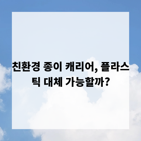 친환경 종이 캐리어, 플라스틱 대체 가능할까?