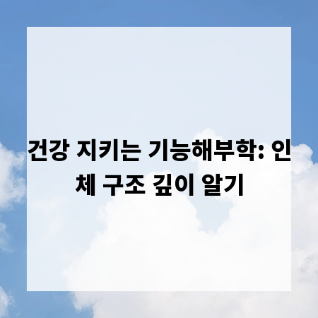 건강 지키는 기능해부학: 인체 구조 깊이 알기