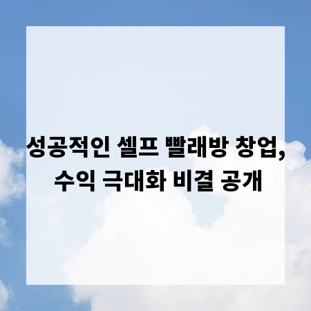 성공적인 셀프 빨래방 창업, 수익 극대화 비결 공개