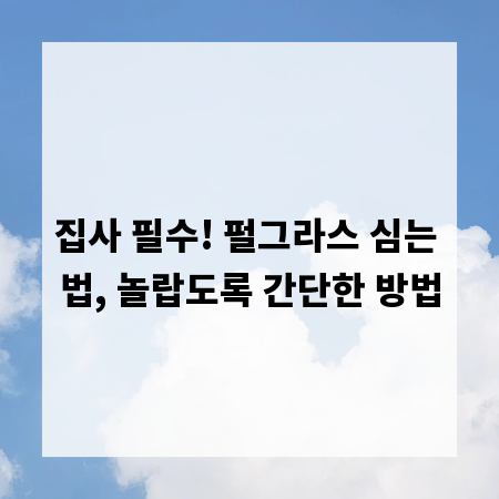 집사 필수! 펄그라스 심는 법, 놀랍도록 간단한 방법