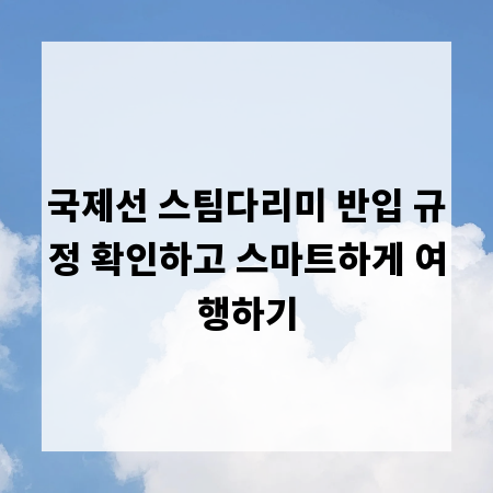 국제선 스팀다리미 반입 규정 확인하고 스마트하게 여행하기