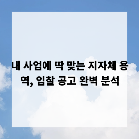 내 사업에 딱 맞는 지자체 용역, 입찰 공고 완벽 분석