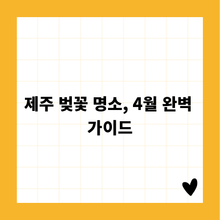 50인승 버스 예약, 안전까지 챙기는 똑똑한 방법