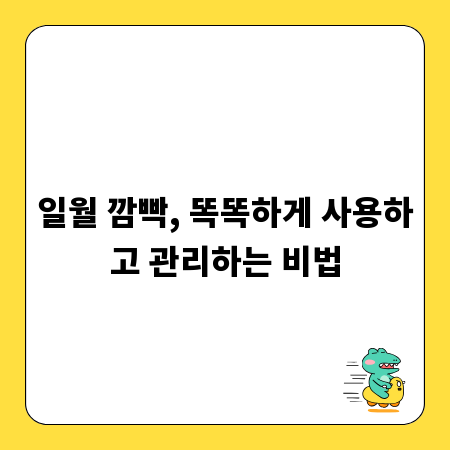 일월 깜빡, 똑똑하게 사용하고 관리하는 비법