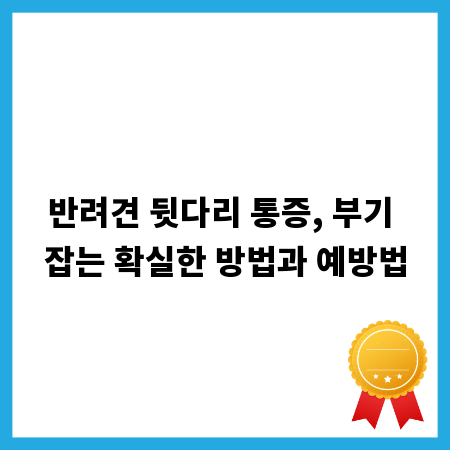 반려견 뒷다리 통증, 부기 잡는 확실한 방법과 예방법