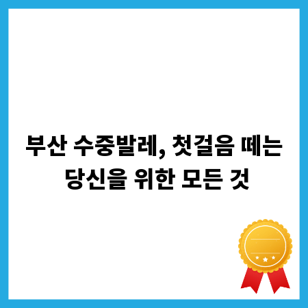 부산 수중발레, 첫걸음 떼는 당신을 위한 모든 것