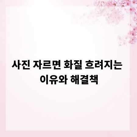 사진 자르면 화질 흐려지는 이유와 해결책