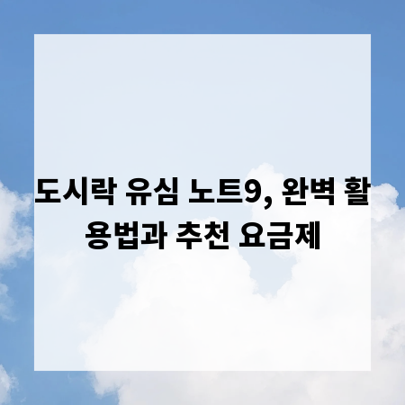 도시락 유심 노트9, 완벽 활용법과 추천 요금제