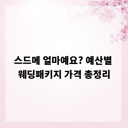 스드메 얼마예요? 예산별 웨딩패키지 가격 총정리