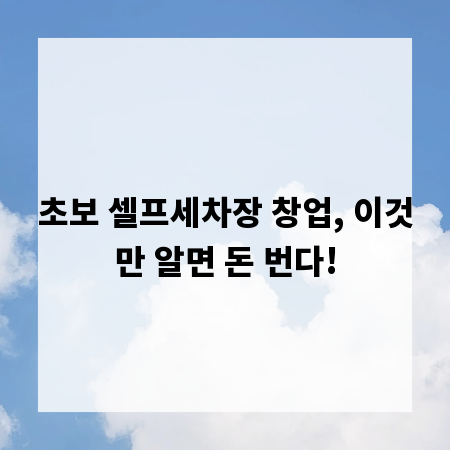 초보 셀프세차장 창업, 이것만 알면 돈 번다!