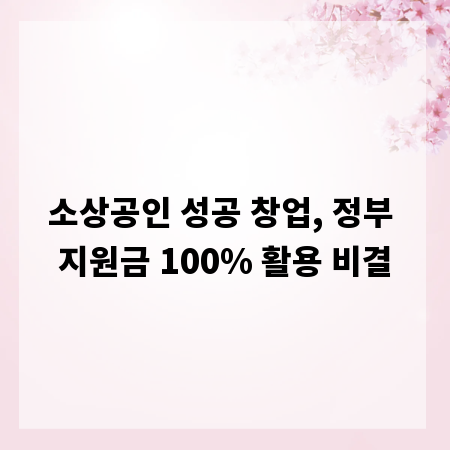 소상공인 성공 창업, 정부 지원금 100% 활용 비결