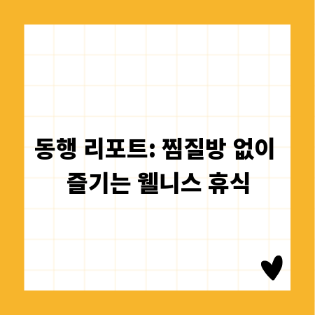 동행 리포트: 찜질방 없이 즐기는 웰니스 휴식