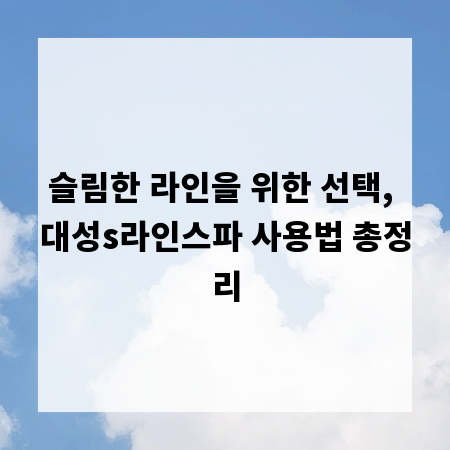 슬림한 라인을 위한 선택, 대성s라인스파 사용법 총정리