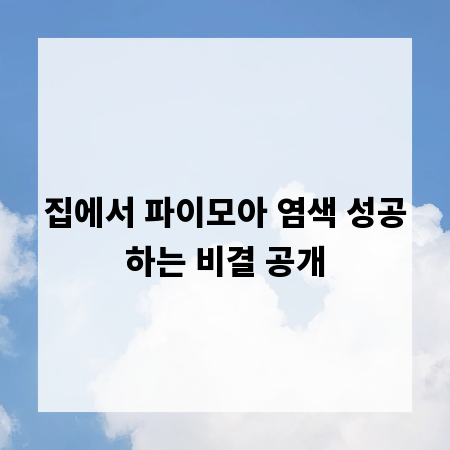 집에서 파이모아 염색 성공하는 비결 공개
