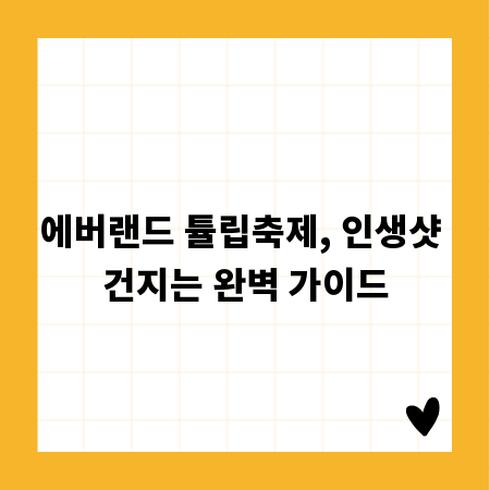에버랜드 튤립축제, 인생샷 건지는 완벽 가이드