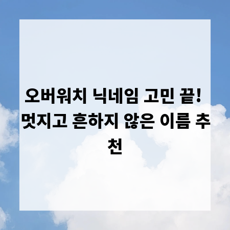 오버워치 닉네임 고민 끝! 멋지고 흔하지 않은 이름 추천