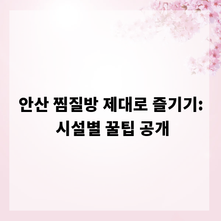 안산 찜질방 제대로 즐기기: 시설별 꿀팁 공개