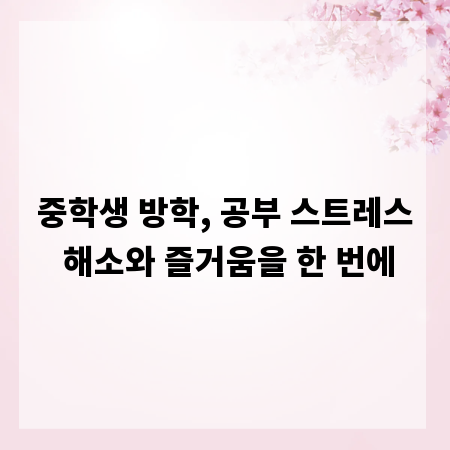 중학생 방학, 공부 스트레스 해소와 즐거움을 한 번에