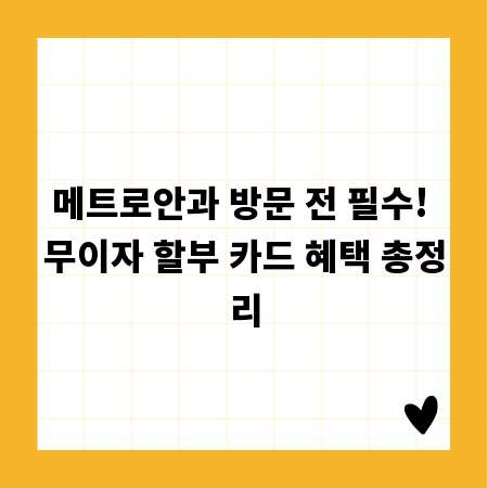 메트로안과 방문 전 필수! 무이자 할부 카드 혜택 총정리
