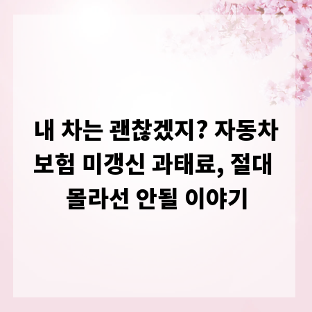 내 차는 괜찮겠지? 자동차보험 미갱신 과태료, 절대 몰라선 안될 이야기