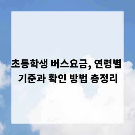 초등학생 버스요금, 연령별 기준과 확인 방법 총정리