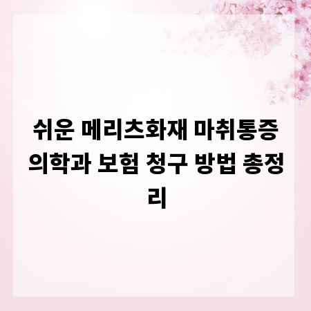 쉬운 메리츠화재 마취통증의학과 보험 청구 방법 총정리