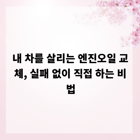 내 차를 살리는 엔진오일 교체, 실패 없이 직접 하는 비법