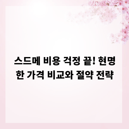스드메 비용 걱정 끝! 현명한 가격 비교와 절약 전략