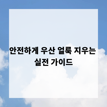 안전하게 우산 얼룩 지우는 실전 가이드