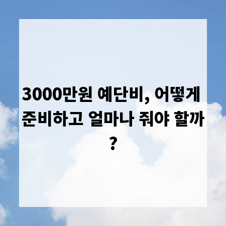 3000만원 예단비, 어떻게 준비하고 얼마나 줘야 할까?