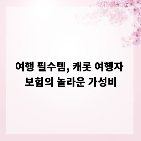 여행 필수템, 캐롯 여행자 보험의 놀라운 가성비