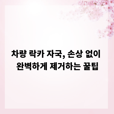 차량 락카 자국, 손상 없이 완벽하게 제거하는 꿀팁