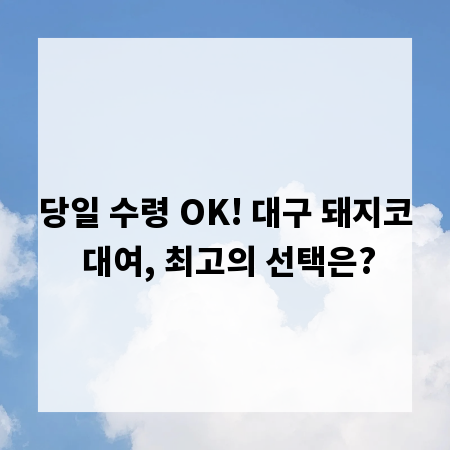 당일 수령 OK! 대구 돼지코 대여, 최고의 선택은?