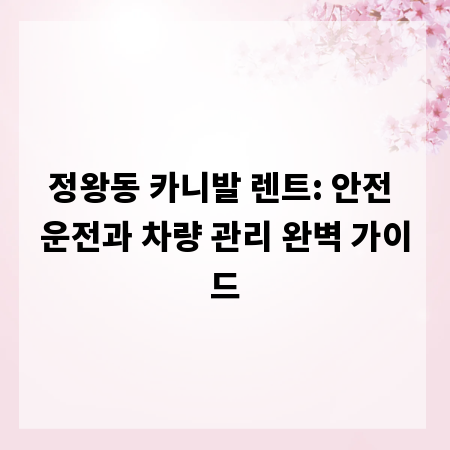 정왕동 카니발 렌트: 안전 운전과 차량 관리 완벽 가이드