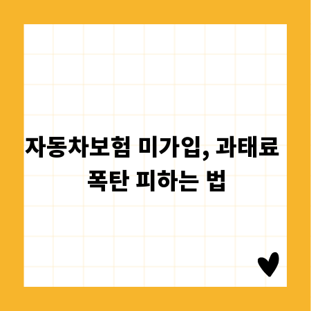 자동차보험 미가입, 과태료 폭탄 피하는 법