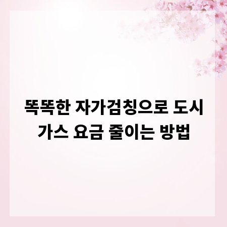 똑똑한 자가검칭으로 도시가스 요금 줄이는 방법