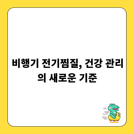 비행기 전기찜질, 건강 관리의 새로운 기준