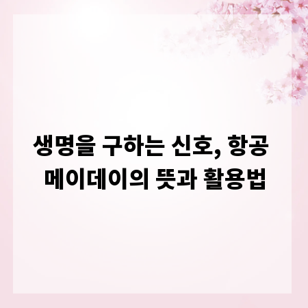 생명을 구하는 신호, 항공 메이데이의 뜻과 활용법