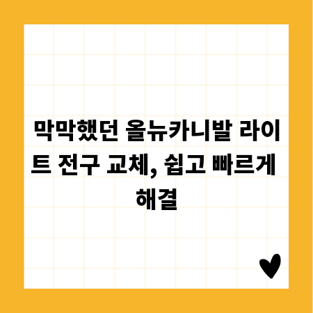 막막했던 올뉴카니발 라이트 전구 교체, 쉽고 빠르게 해결