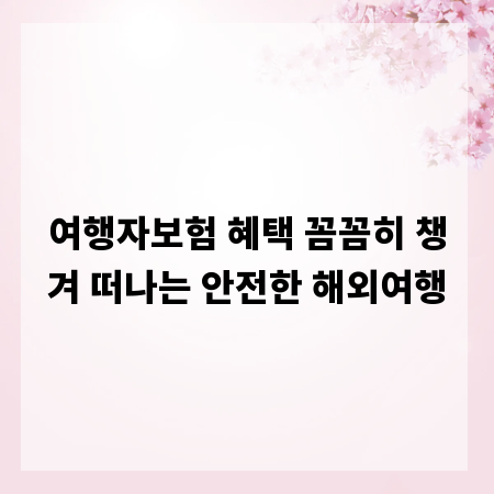 여행자보험 혜택 꼼꼼히 챙겨 떠나는 안전한 해외여행