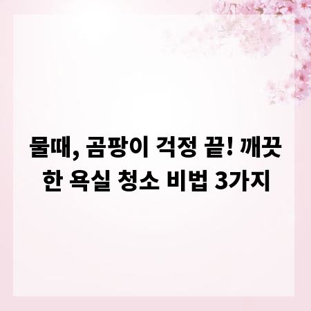 물때, 곰팡이 걱정 끝! 깨끗한 욕실 청소 비법 3가지