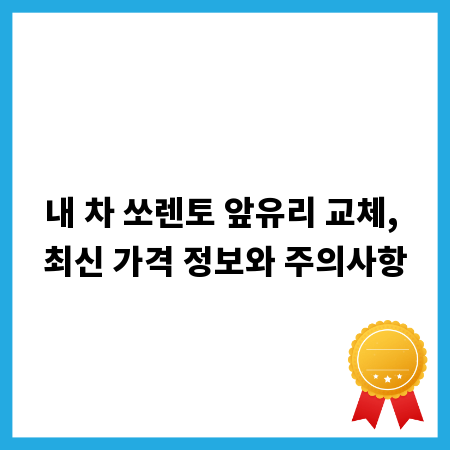 내 차 쏘렌토 앞유리 교체, 최신 가격 정보와 주의사항