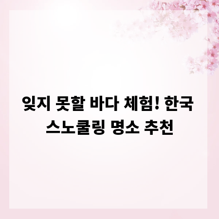 잊지 못할 바다 체험! 한국 스노쿨링 명소 추천
