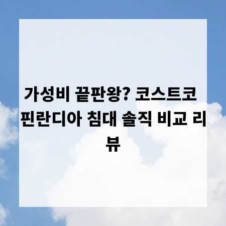가성비 끝판왕? 코스트코 핀란디아 침대 솔직 비교 리뷰