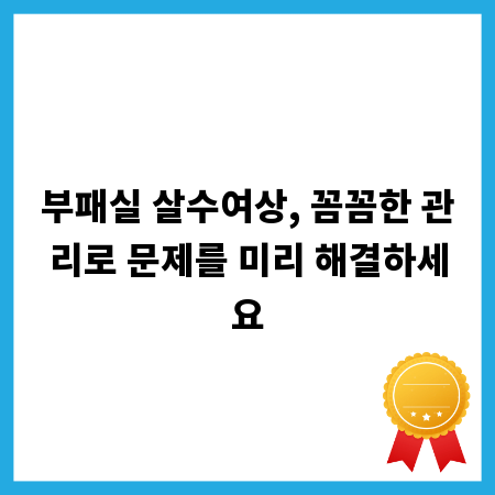 부패실 살수여상, 꼼꼼한 관리로 문제를 미리 해결하세요