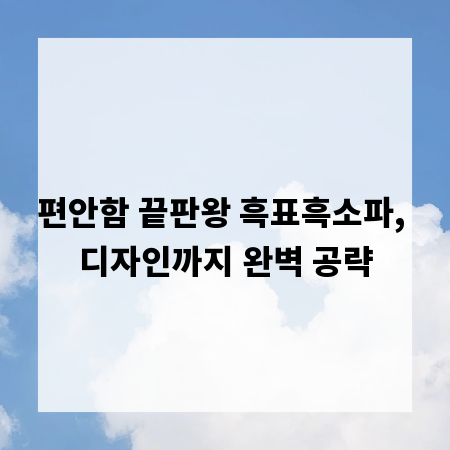 편안함 끝판왕 흑표흑소파, 디자인까지 완벽 공략