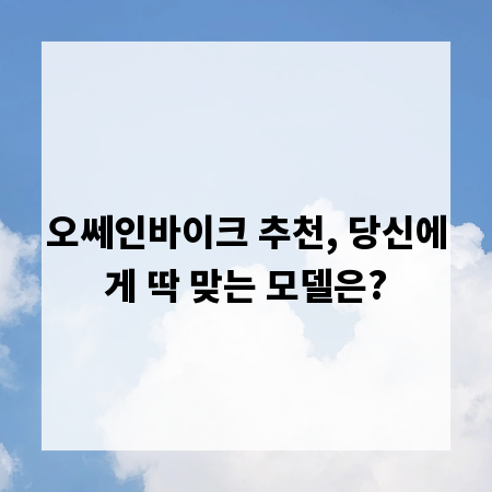 오쎄인바이크 추천, 당신에게 딱 맞는 모델은?
