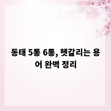 동태 5통 6통, 헷갈리는 용어 완벽 정리
