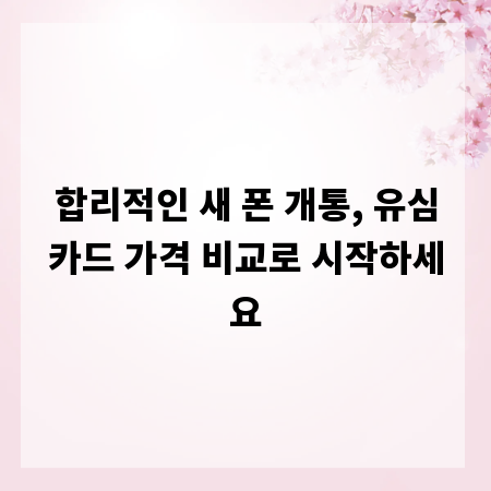 합리적인 새 폰 개통, 유심카드 가격 비교로 시작하세요